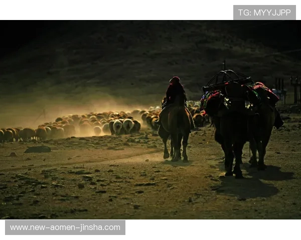 金沙国际财富有限公司最新动态：公司业务布局、市场扩展及行业影响力分析