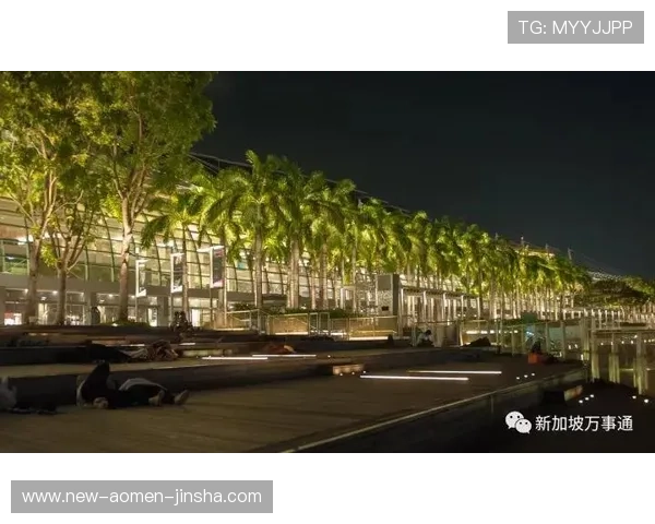 如何规划一次完美的新加坡滨海湾金沙赌场之旅,实用攻略全解析