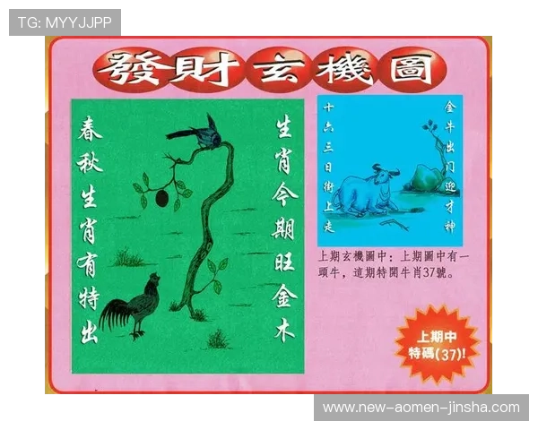 澳门彩登录入口官方平台介绍，详细解析登录流程与安全保障措施保障玩家权益