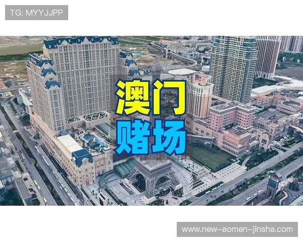 澳门赌场年龄分布对博彩业监管与风险控制的实际意义